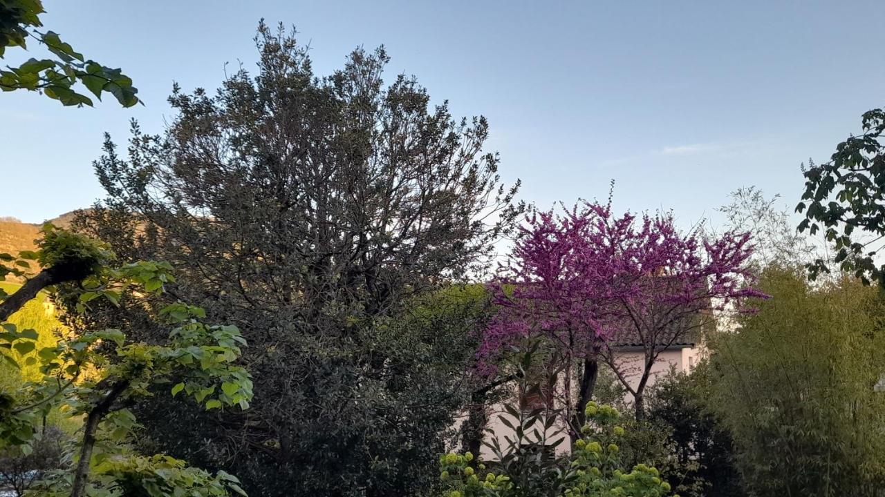 Le Gite Du Tarn Aguessac Exterior foto
